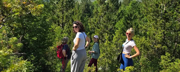 Razma Mountain Wellness-Retreat