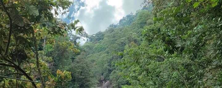 Ziplining auf dem Pacuare-Fluss