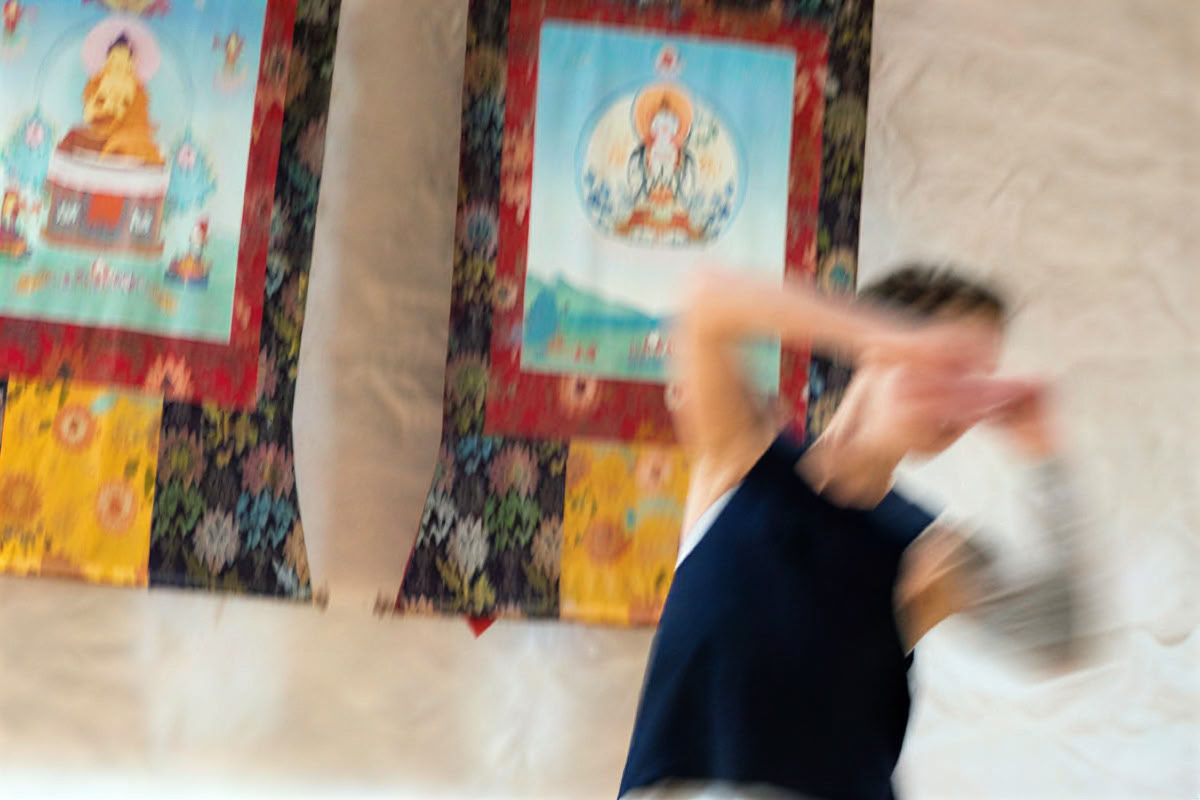 Dhyana und Einsicht