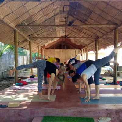 3 Monate tägliche Yogakurse für Anfänger