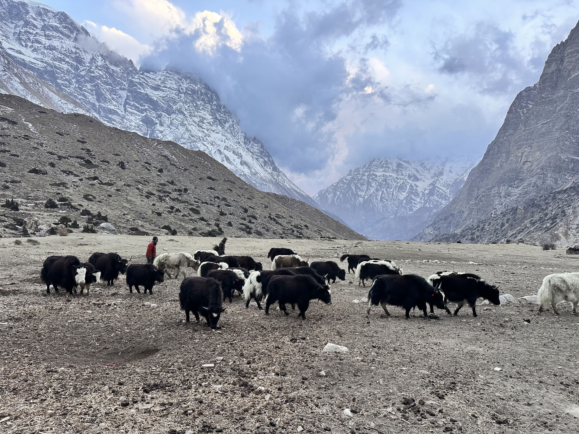 Yoga-Trekking auf dem Annapurna Circuit