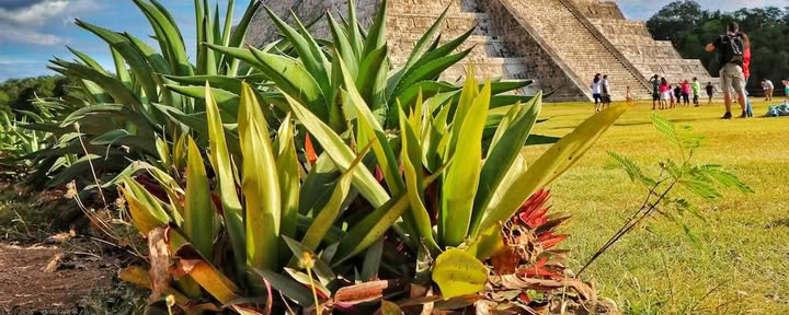 7-tägige Detox am Meer: Einführung in Ayurveda plus Yoga