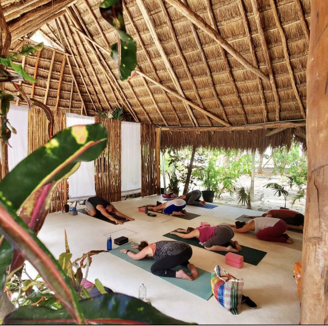 7-tägiges Pilates-Retreat am Meer mit Cenote- und Schnorcheltour