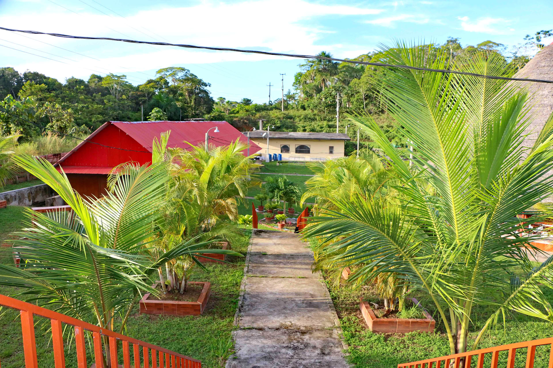 Ayahuasca & Iboga (Vitality-Retreat)