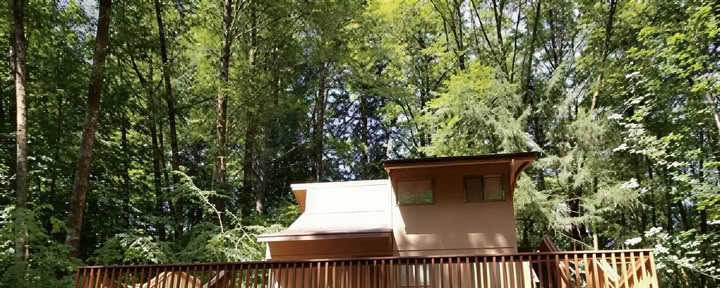 Erwachen