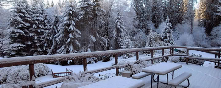 Den Geist beruhigen, das Herz erwecken: Ein Retreat zur Einsichtsmeditation -- LOTTERY RETREAT