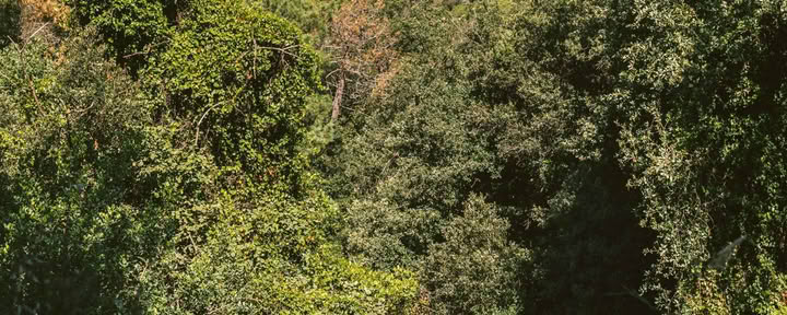 Die Landschaft bei jedem Schritt entdecken
