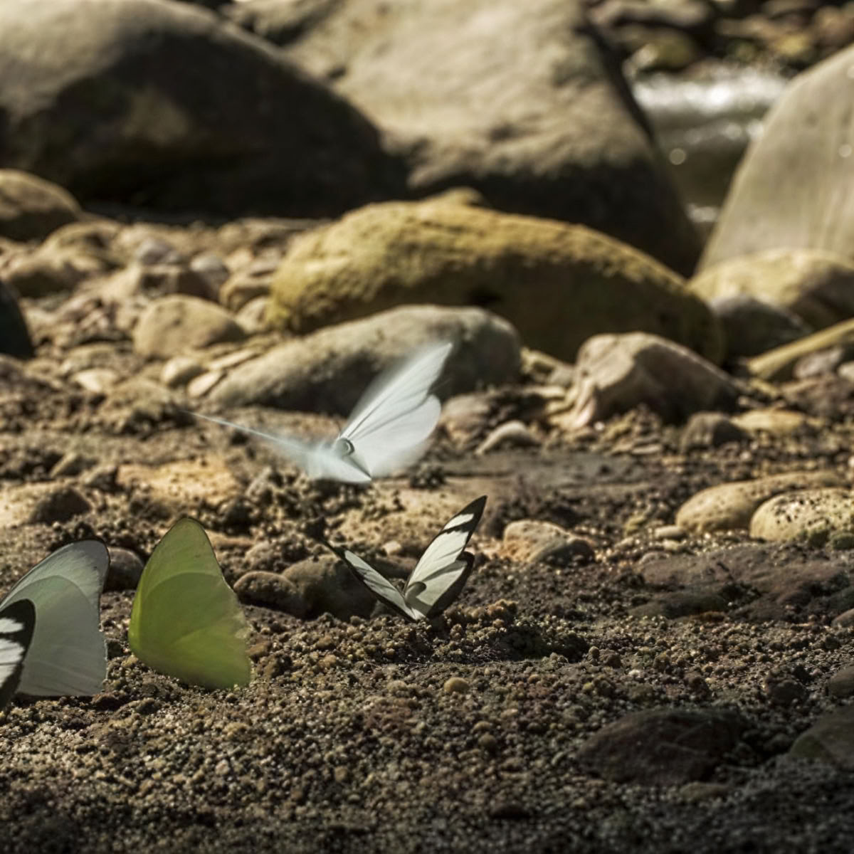 Achtsamkeit und Yoga in der Natur
