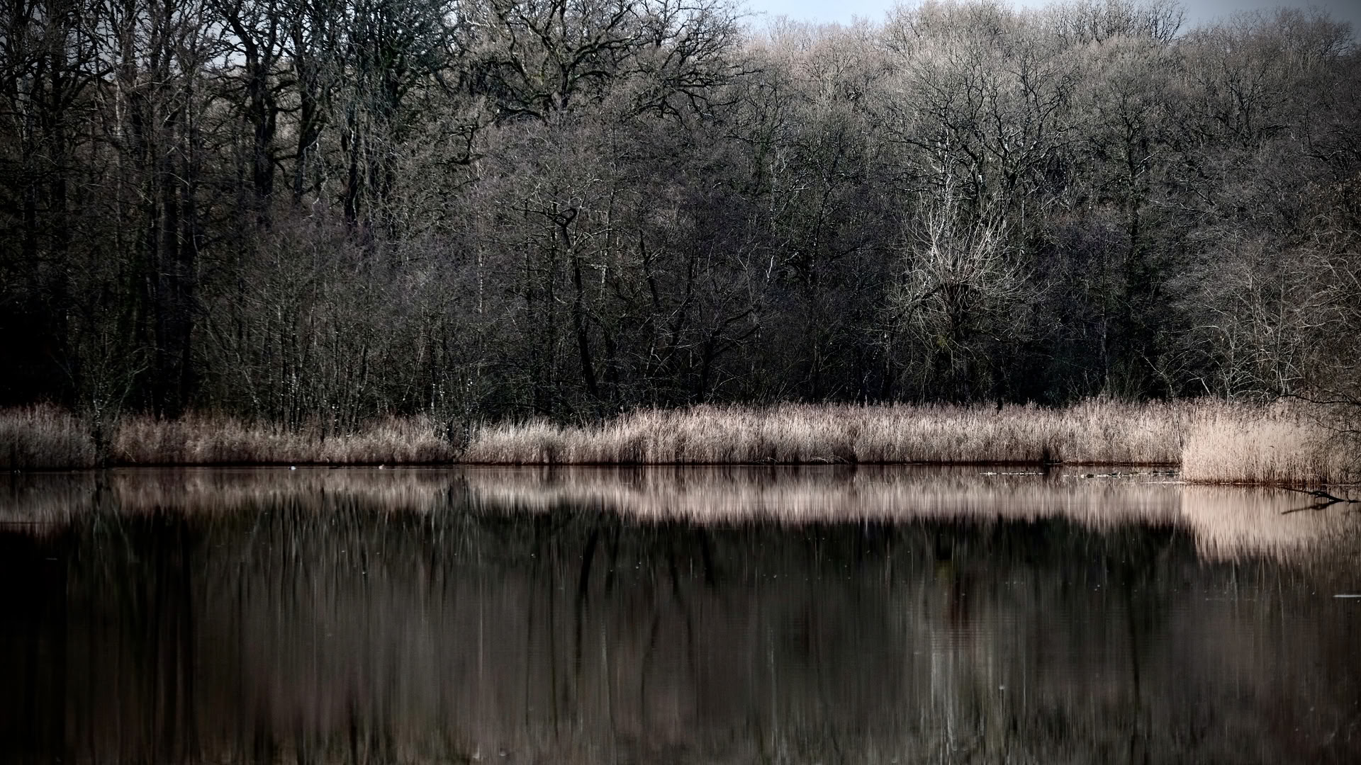Wildes Wochenende – Den Winter gut überstehen