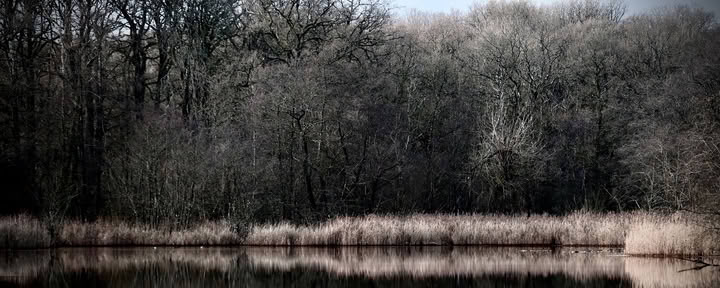 Wildes Wochenende – Den Winter gut überstehen