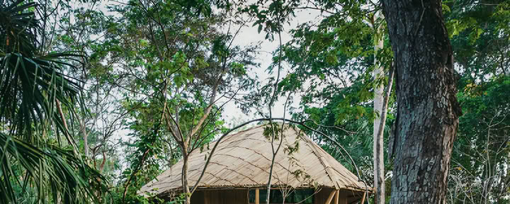 Zurück zur Natur Yoga Retreat