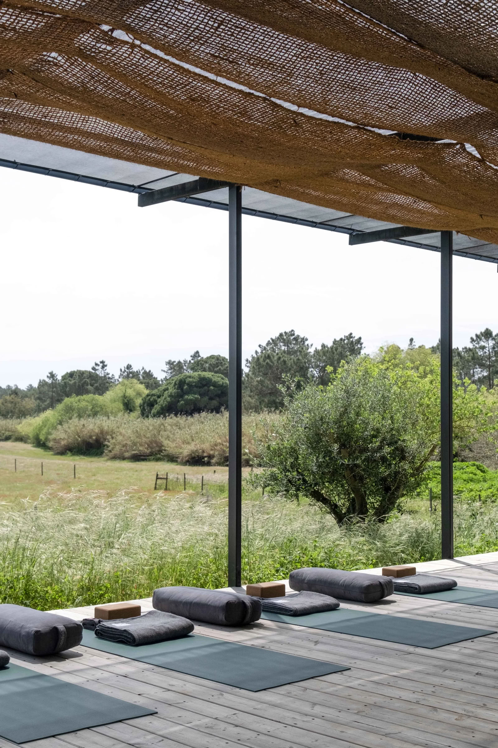Wurzeln & Aufsteigen: Portugal Yoga Retreat, September 2026