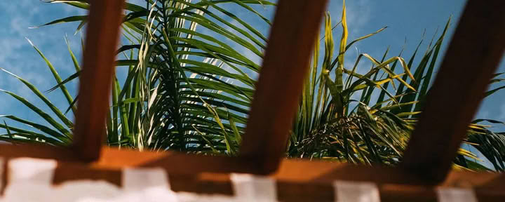 BJJ-Retreat in Costa Rica