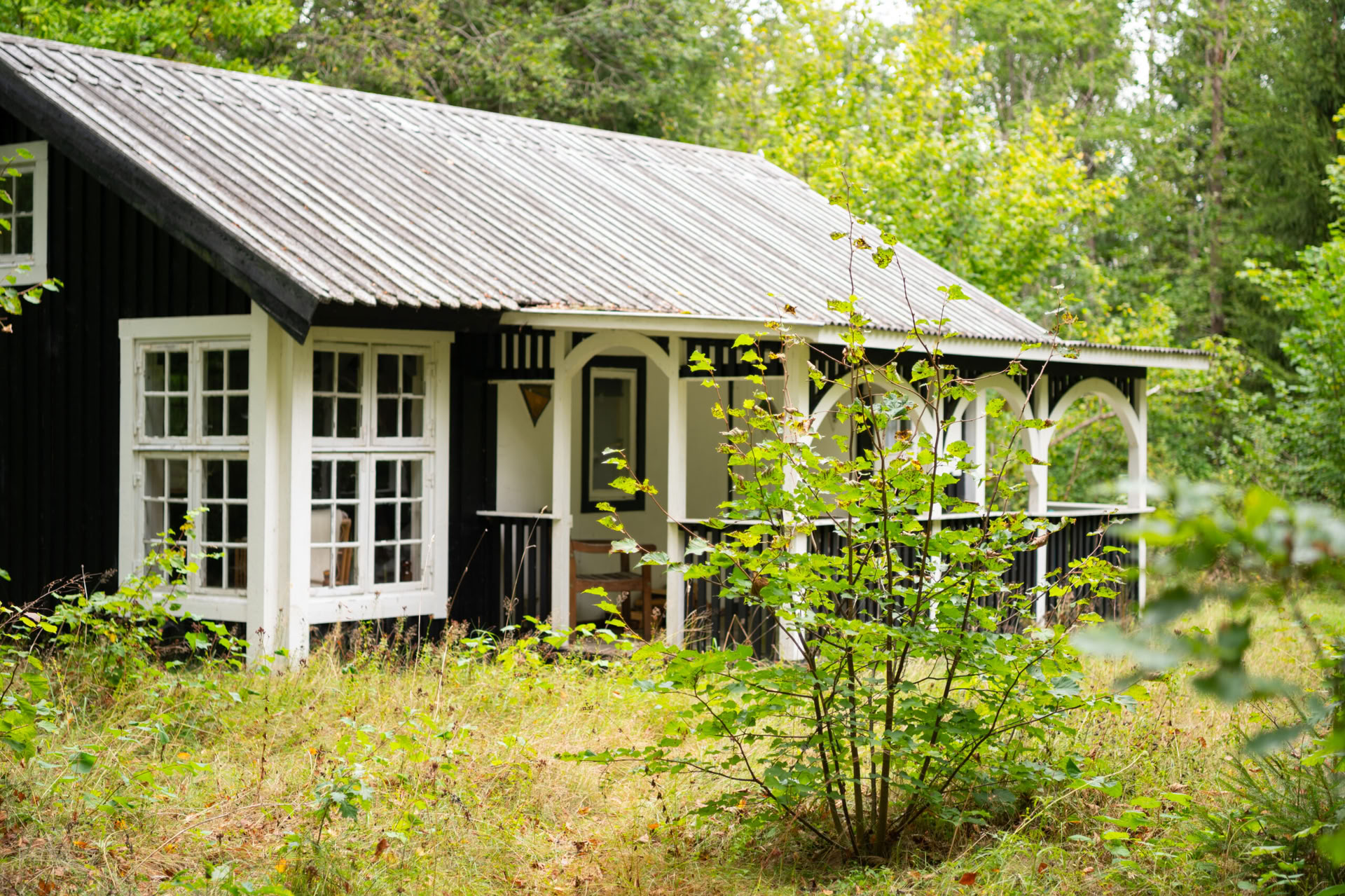NOR: Yoga-Retreat in Schweden