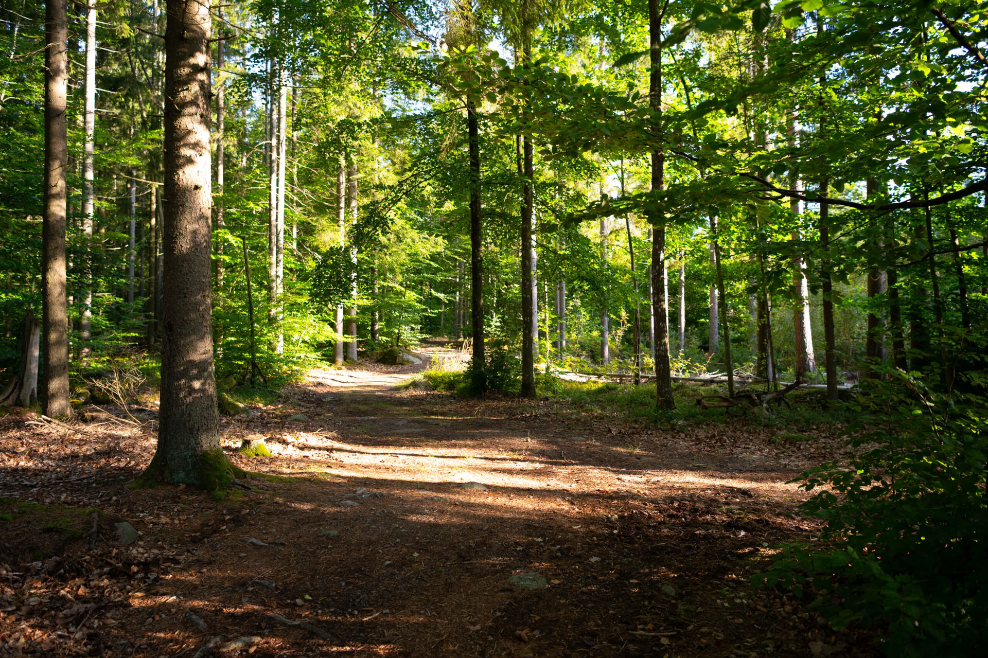 NOR: Yoga-Retreat in Schweden