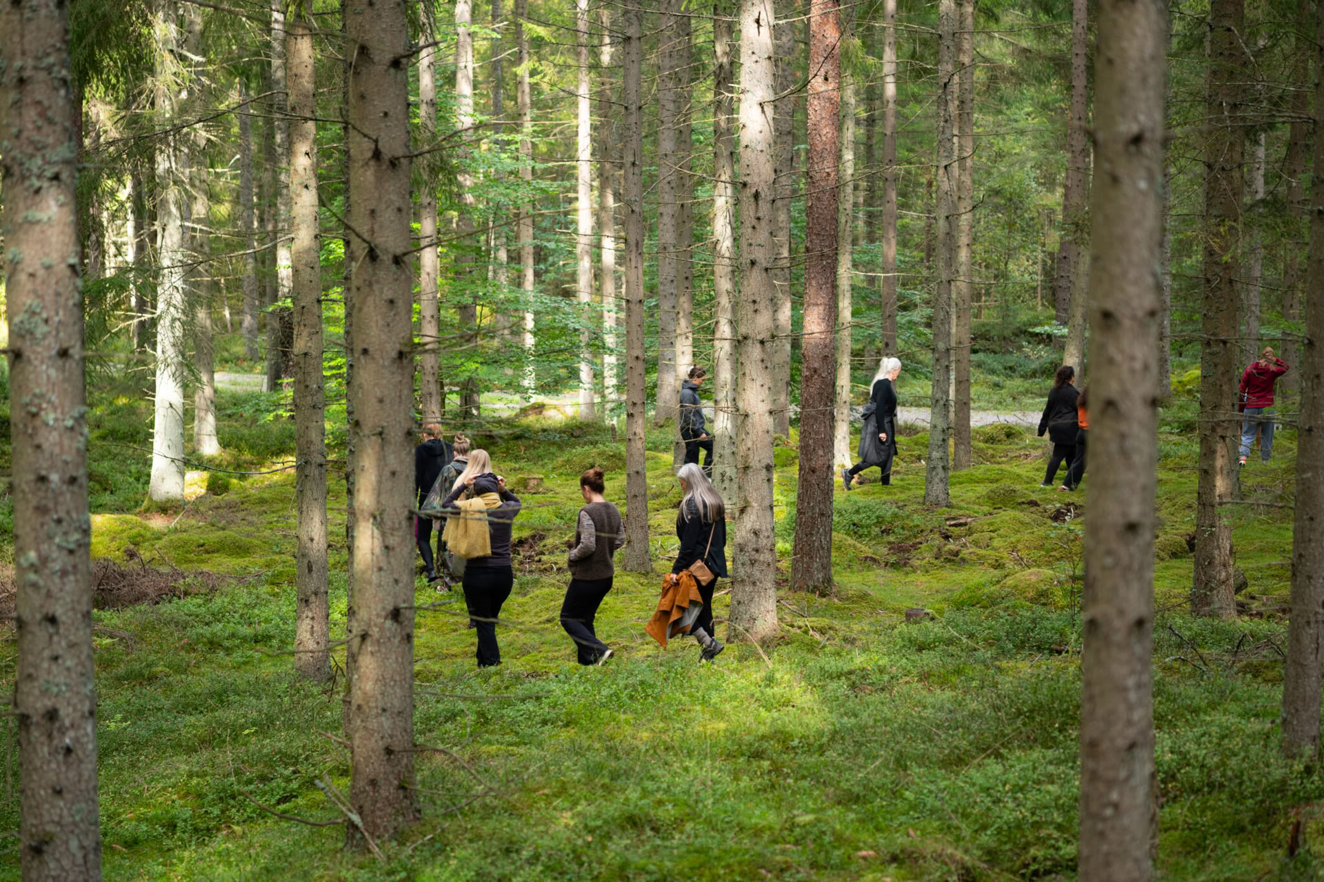 NOR: Yoga-Retreat in Schweden