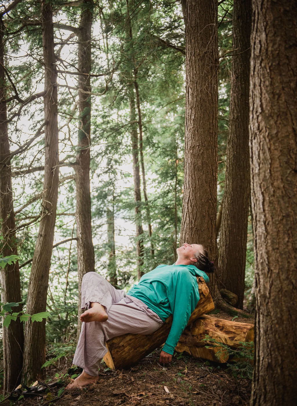 Verbinde dich mit dem Wilden Retreat