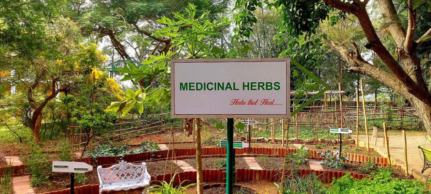 Ayurveda für die primäre Gesundheitsversorgung