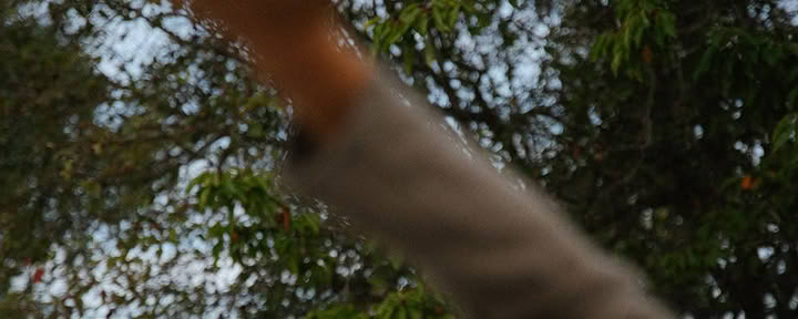 Yoga-Retreat & Meditationskurs Soul 1