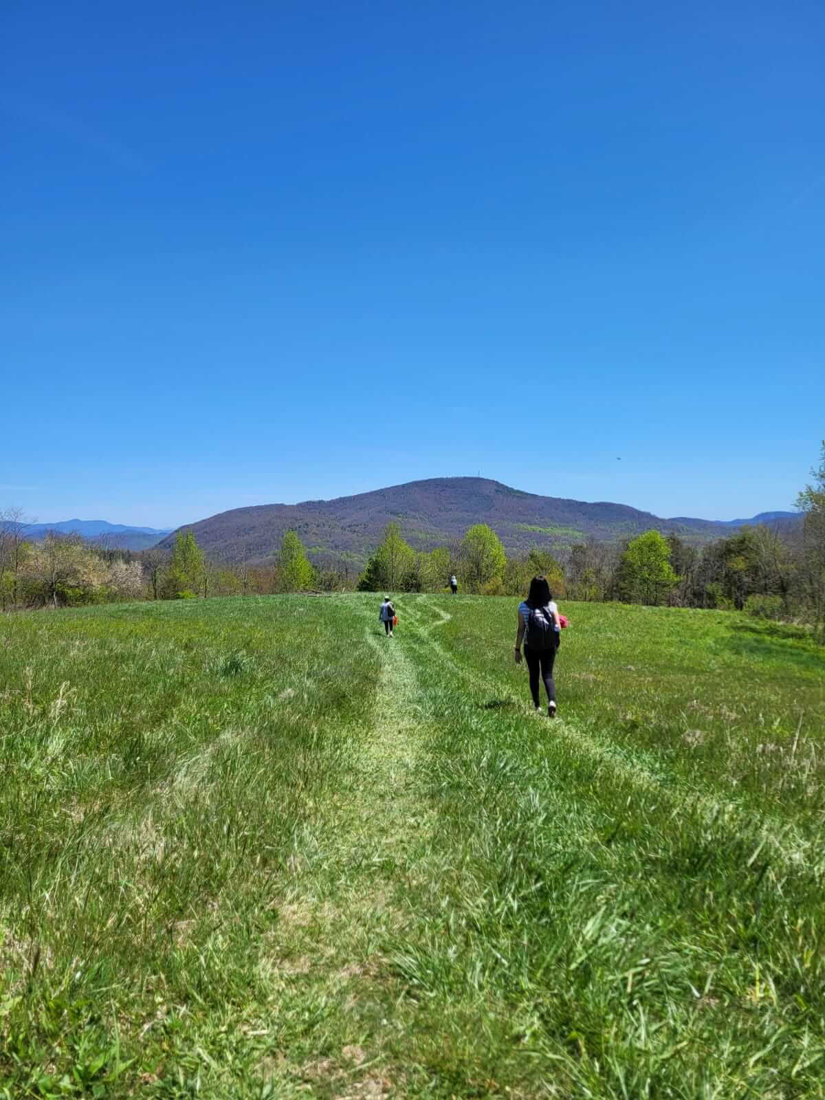 Natur & Glückseligkeit – Yoga Retreat in North Carolina