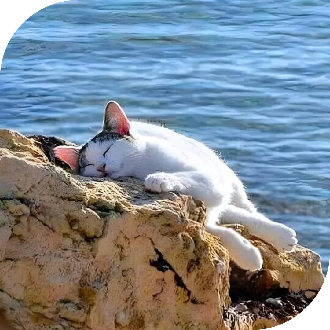 Eine Yoga-Entdeckungsreise zu den griechischen Inseln 2027