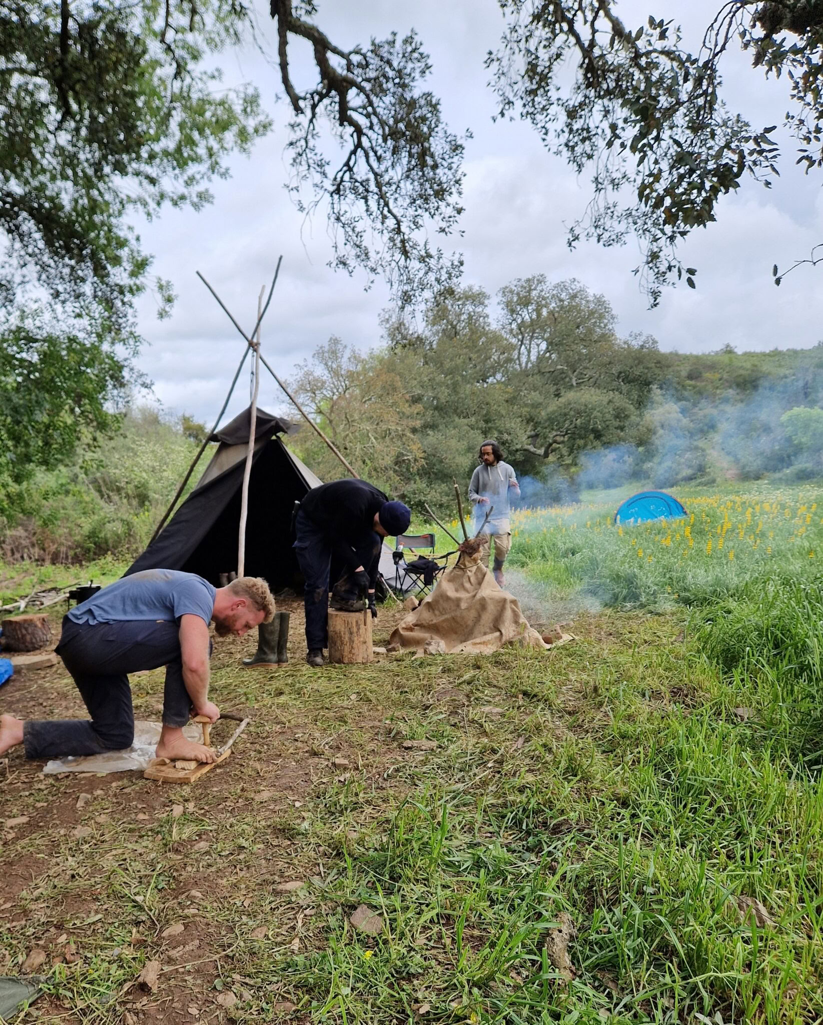 Überlebensgrundlagen in der Wildnis