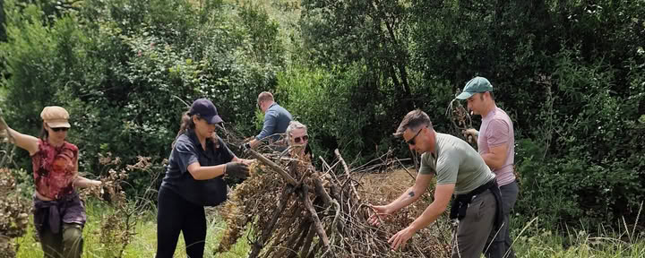 Überlebensgrundlagen in der Wildnis