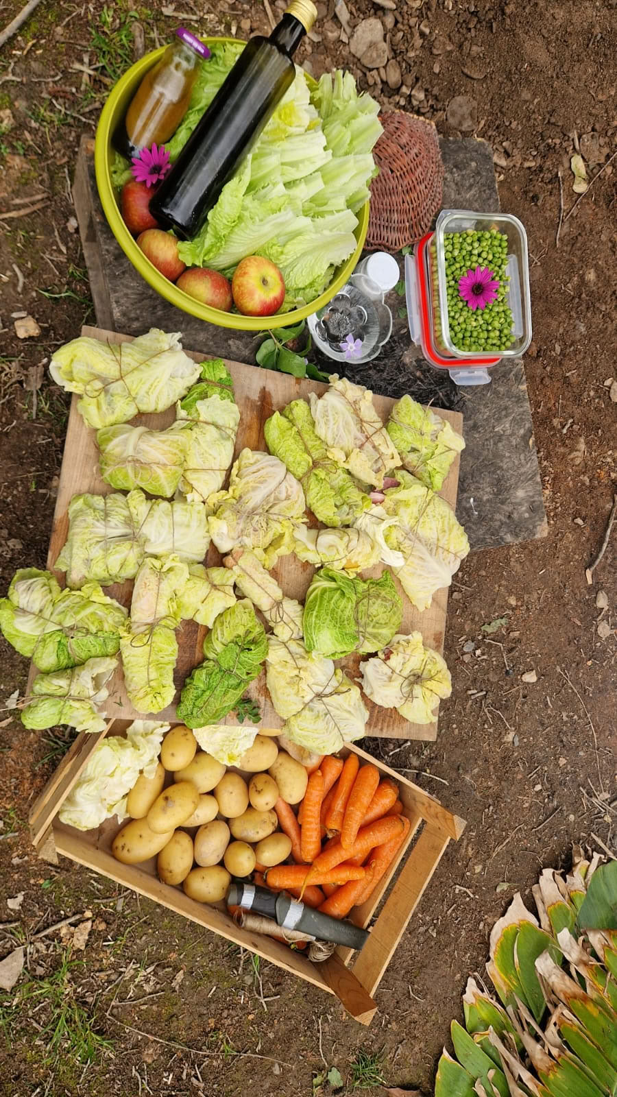 Kochen im Freien