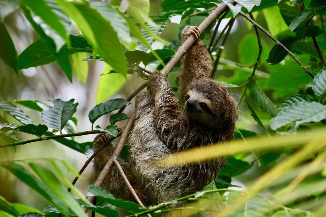 Von der Natur beglücktes Retreat Costa Rica