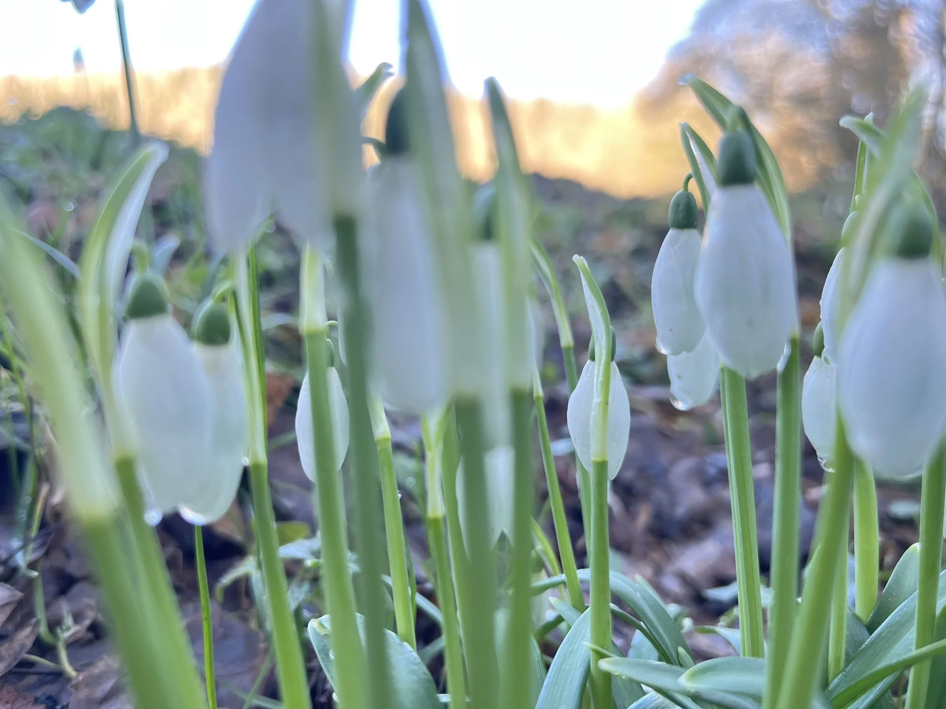 Yoga-, Achtsamkeits- und Naturverbindungs-Workshops