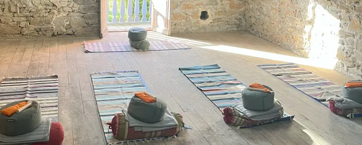 Yoga-, Achtsamkeits- und Naturverbindungs-Workshops