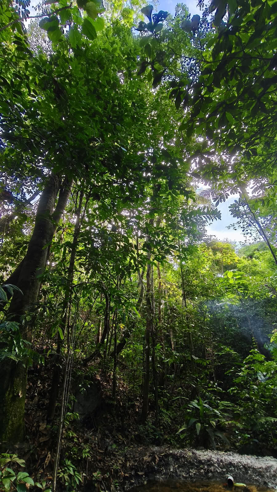 Naturalia Retreat-Zentrum | Ayahuasca-Retreat in Peru