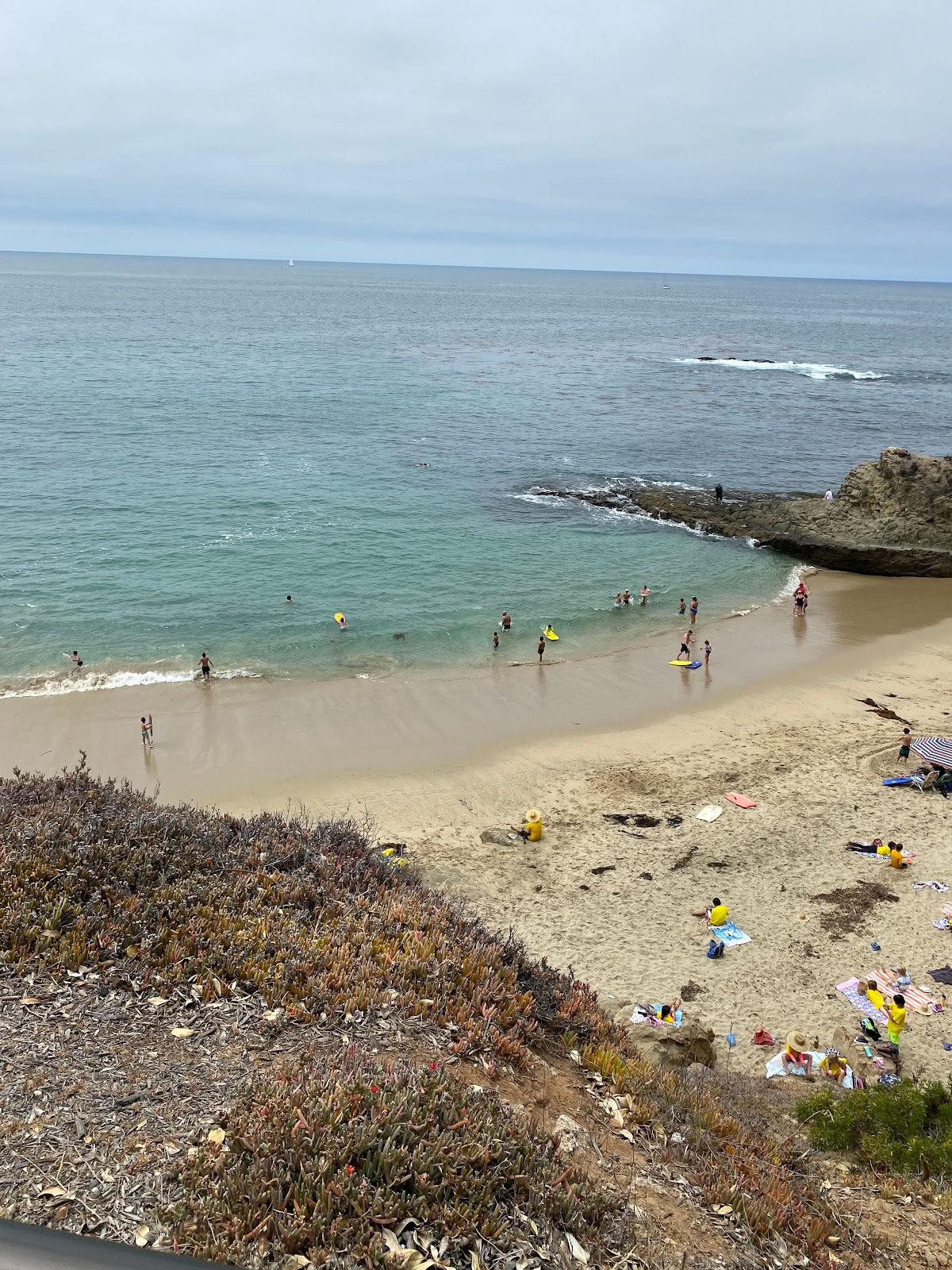 Ich liebe Laguna Tours & Events