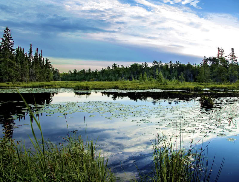 Das Dharma Centre von Kanada
