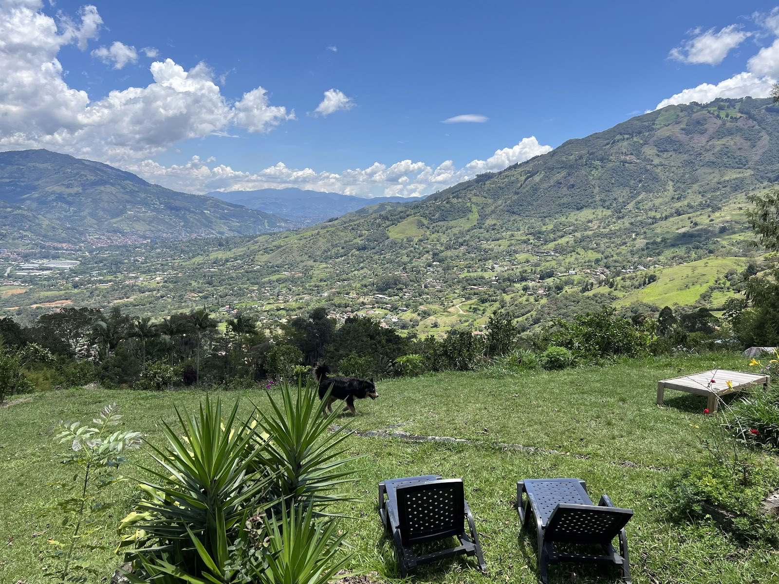 Harmonica Ayahuasca Retreat Colombia (früher Guacamayo)