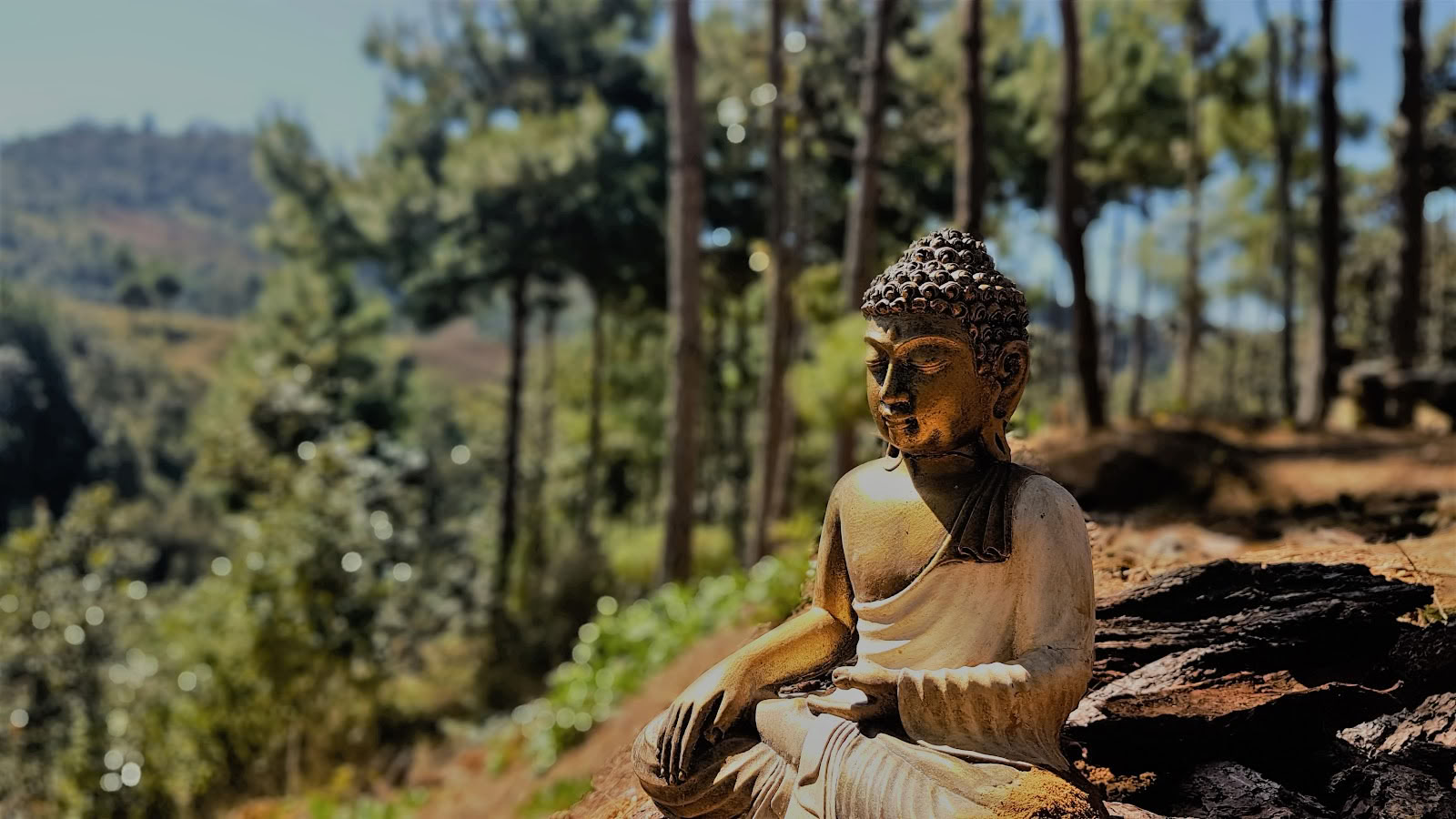 Hridaya Familien-Meditations- und Yoga-Retreat-Zentrum