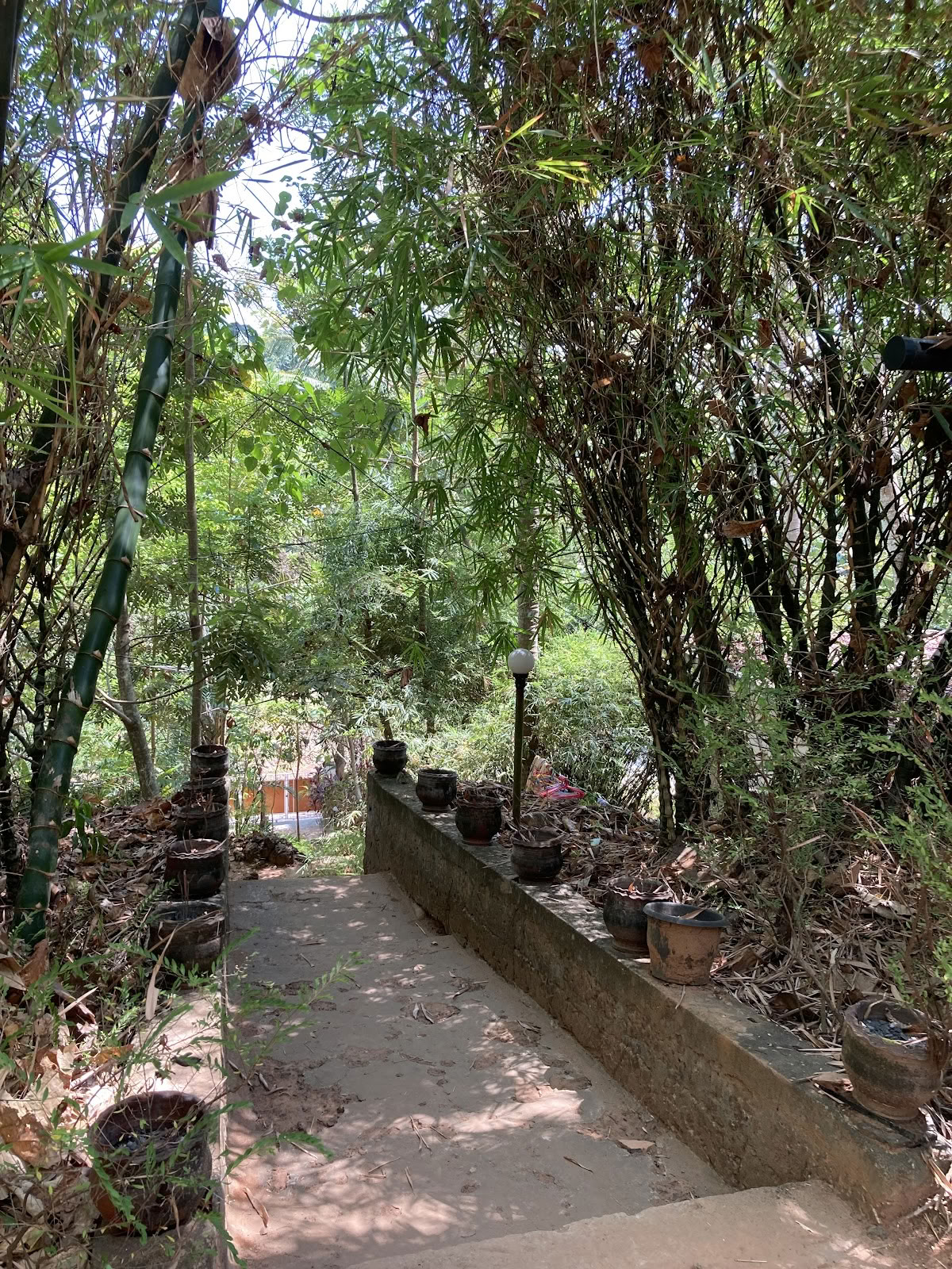 Agnihotra-Yoga-Retreat
