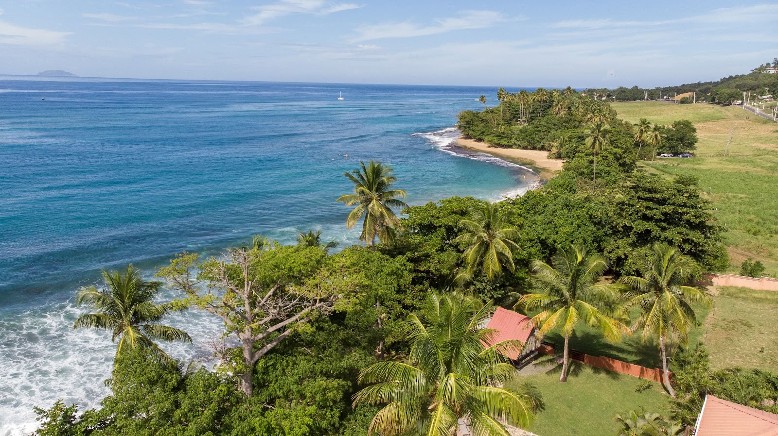 Ann Wigmore Naturheilkunde