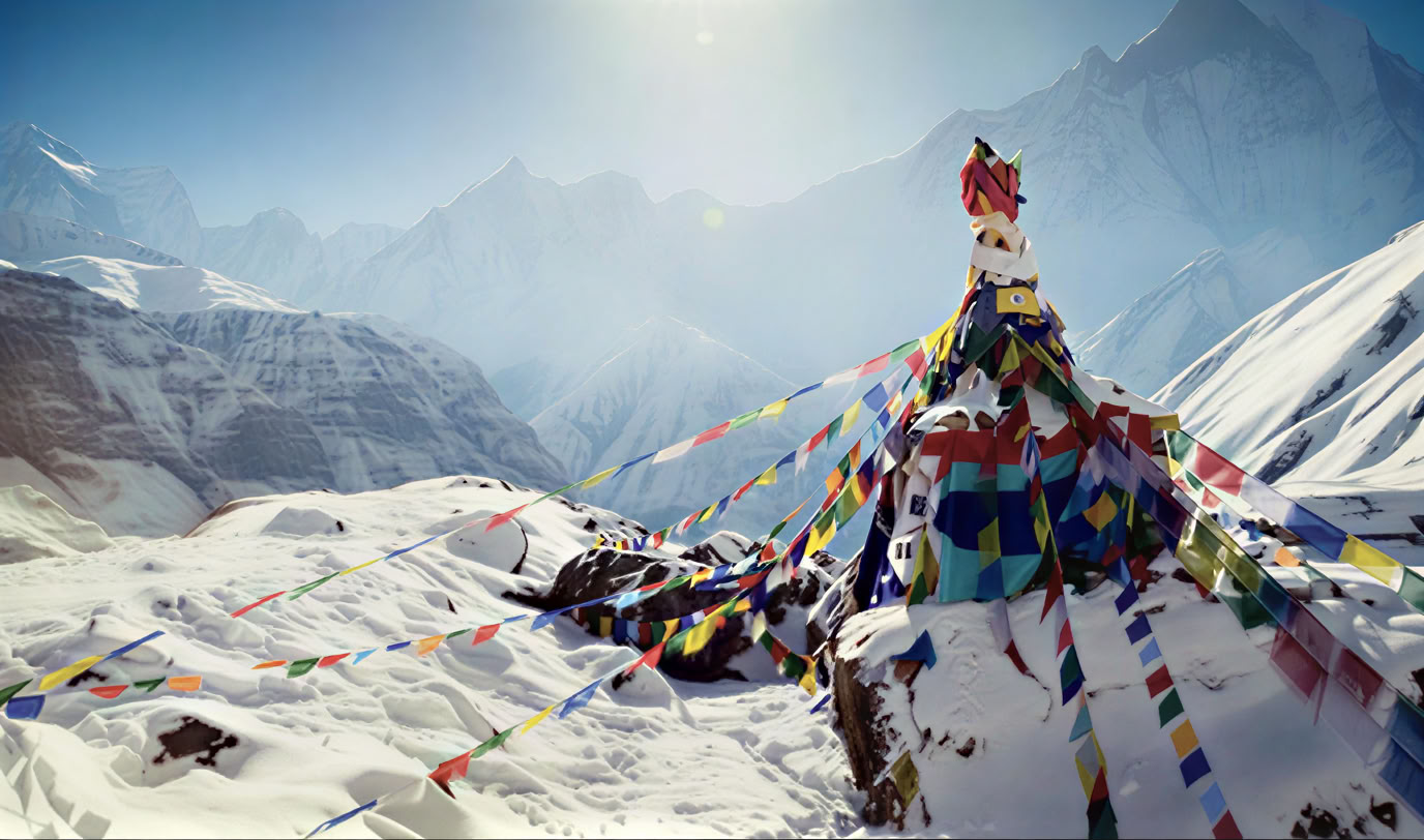 Abenteuer-Trekkings aus Treibholz