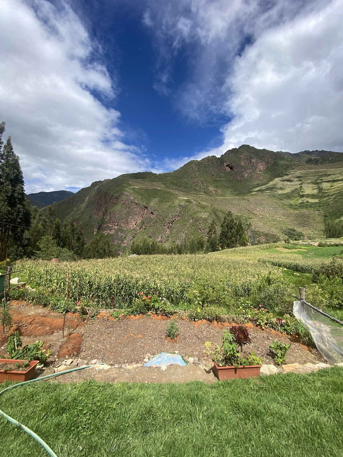 Ayahuasca Spirituelles Zentrum Cusco