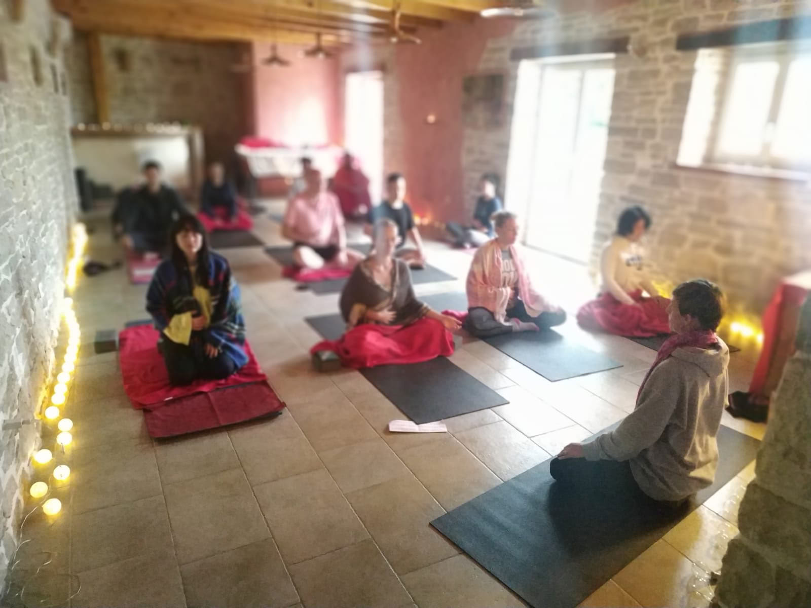 Grüner Yoga-Reisender | Yoga-Retreats in Kroatien & darüber hinaus