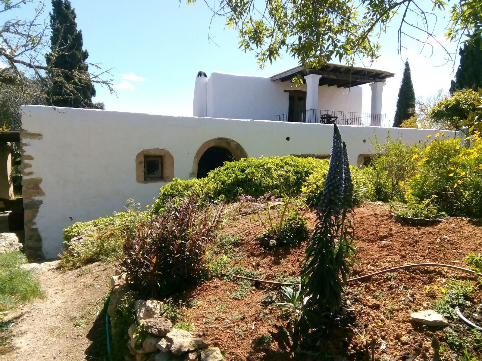 Ibiza Bewegende Künste