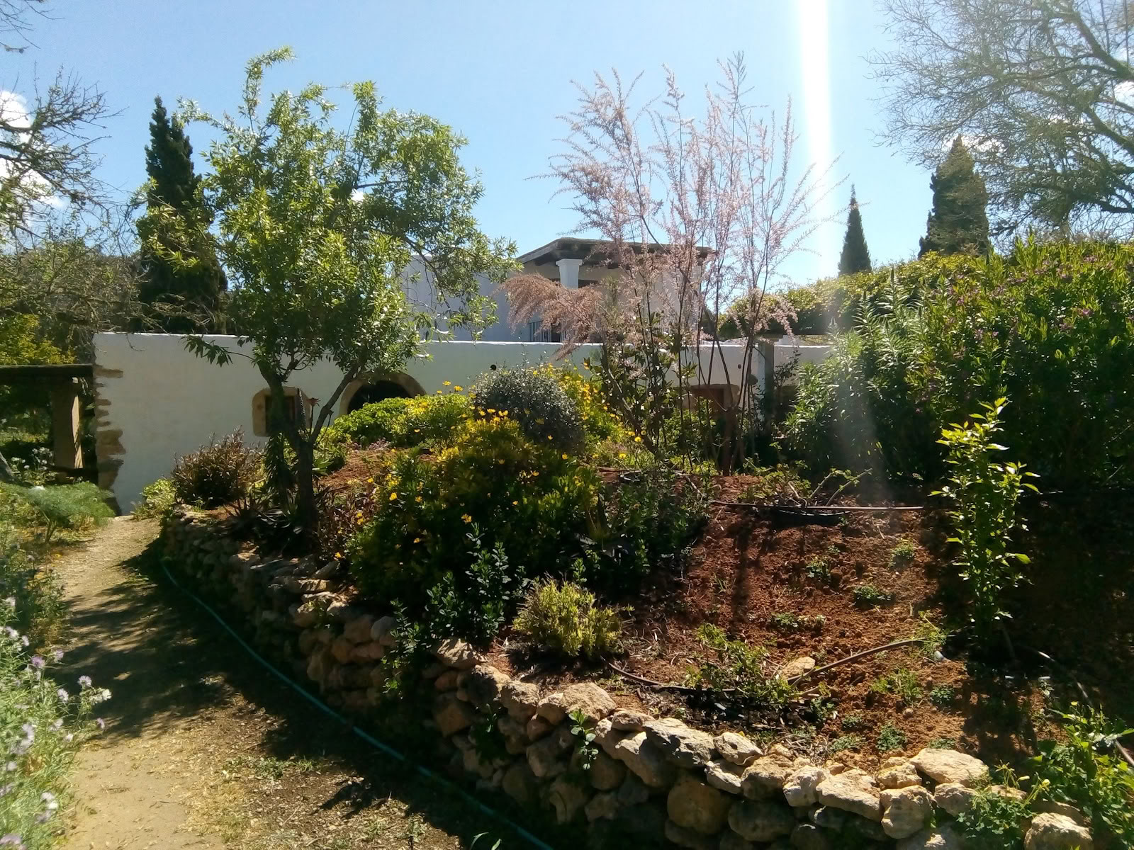 Ibiza Bewegende Künste