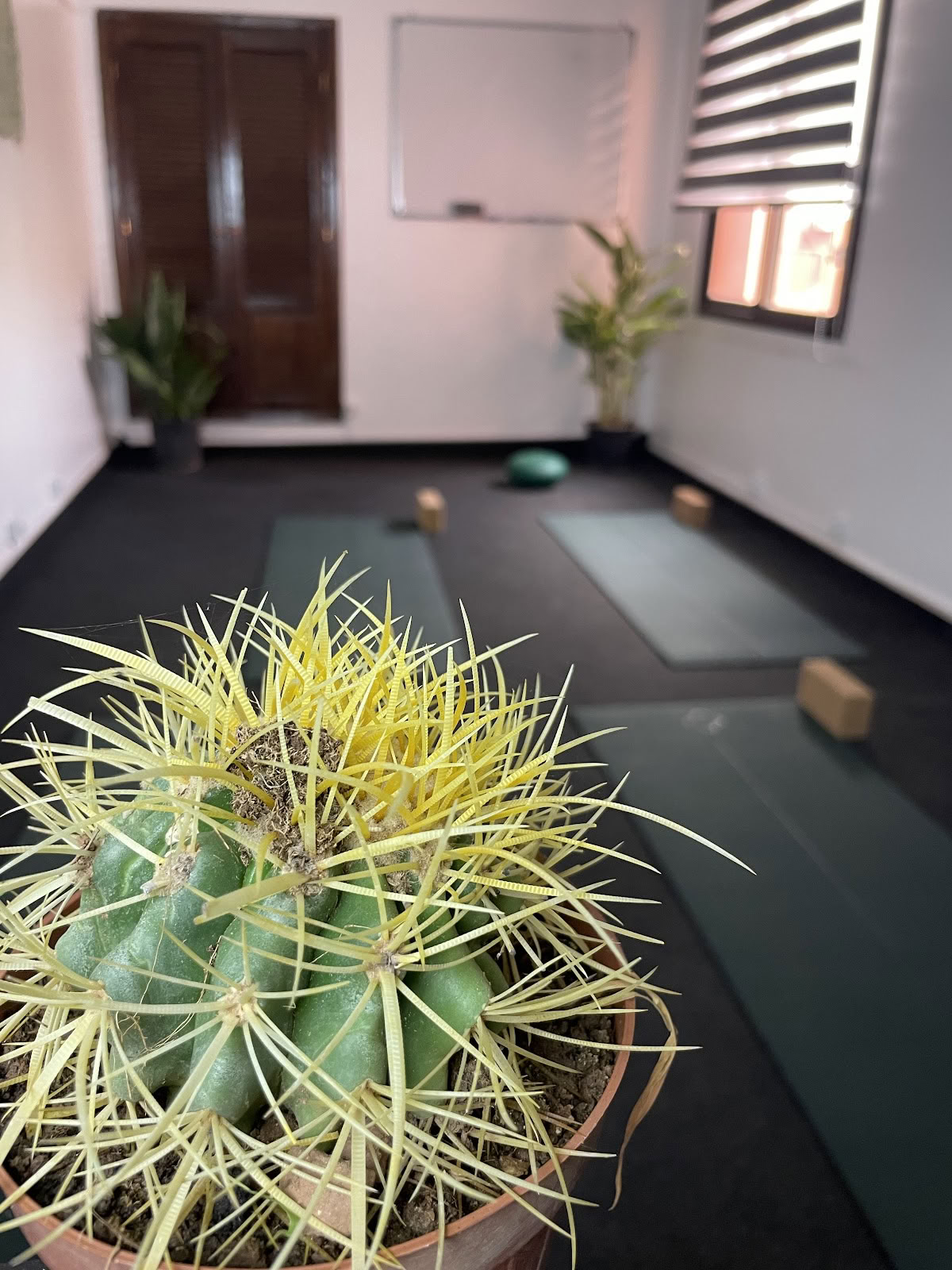Kioze - Yoga Marrakesch, Yoga-Studio für Frauen zu 100 %, Pilates Marrakesch, Orientalischer Tanz, Frauenboxen, Yogakurse Marrakesch