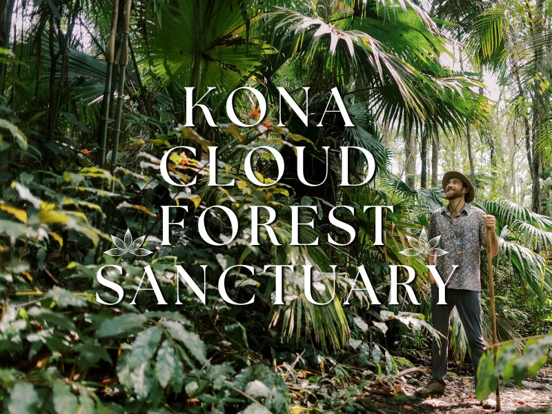 Kona-Wolkenwald-Heiligtum