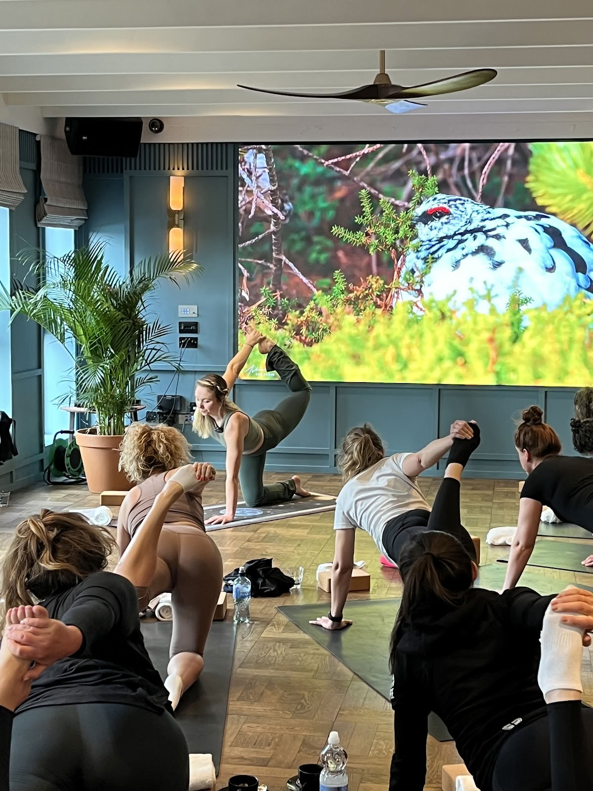 Yoga von Lauren Marples