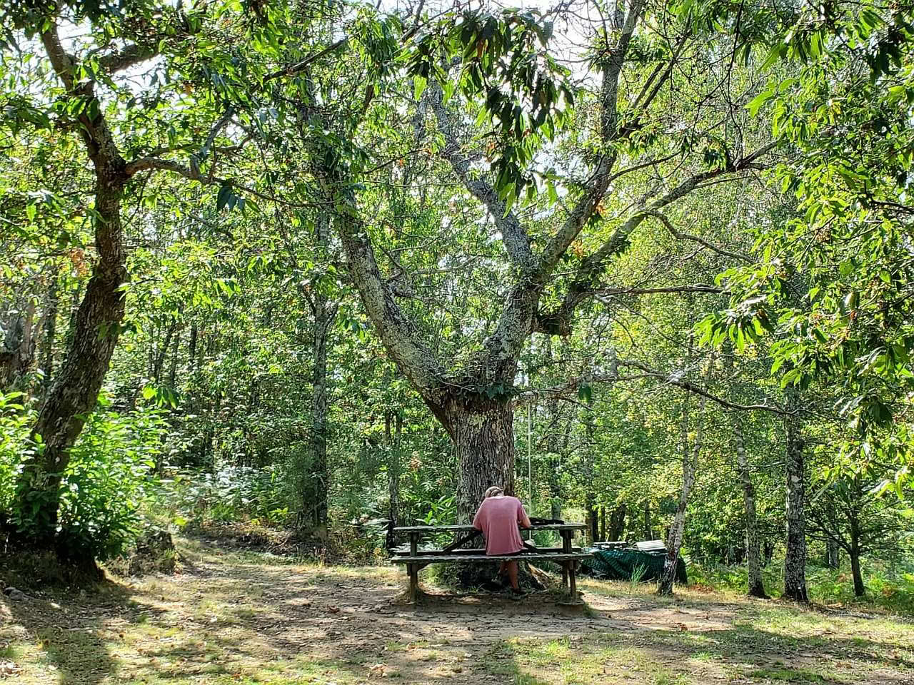 Liebe, Entwicklung und Erwachen im Mahadevi Ashram