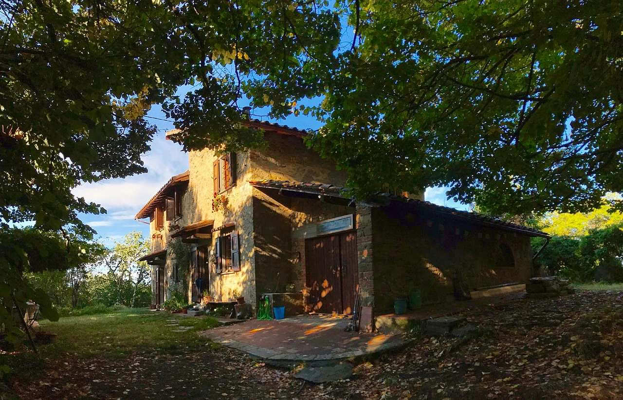 Liebe, Entwicklung und Erwachen im Mahadevi Ashram
