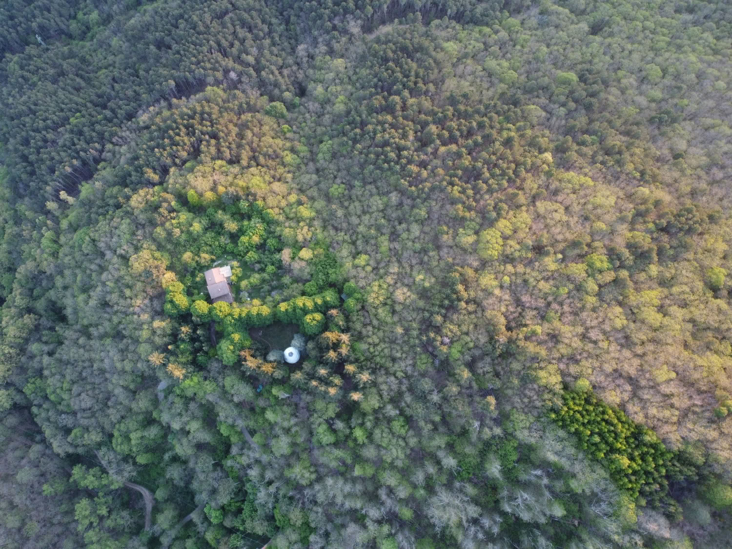 Liebe, Entwicklung und Erwachen im Mahadevi Ashram