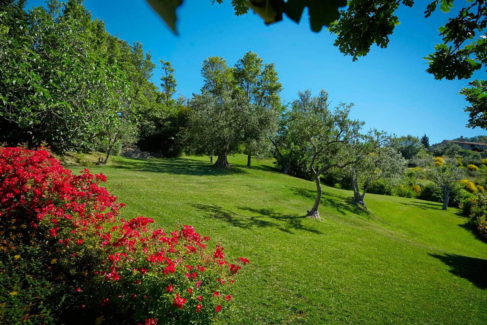 Locanda del Gallo